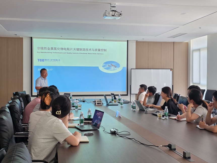 in-depth-technical-exchange-experts-from-lightning-protection-research-institute-visit-tge_01.jpg