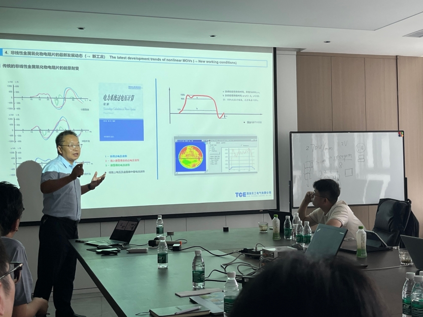 in-depth-technical-exchange-experts-from-lightning-protection-research-institute-visit-tge_02.jpg