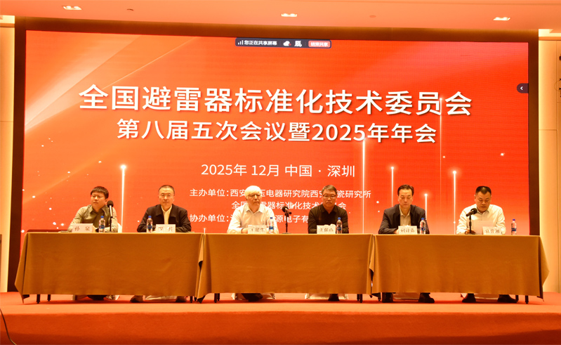 tge-wins-three-prestigious-awards-at-national-surge-arrester-standardization-committee-and-2025-annual-meeting-01.jpg