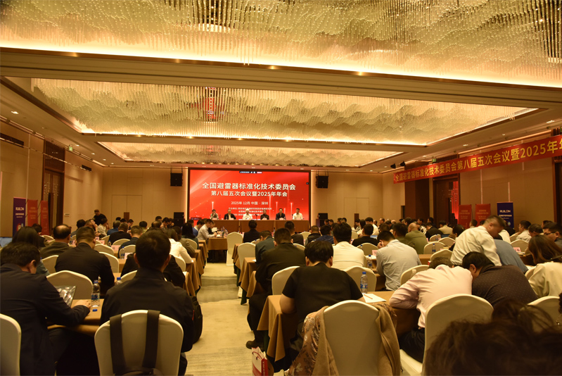 tge-wins-three-prestigious-awards-at-national-surge-arrester-standardization-committee-and-2025-annual-meeting-02.jpg