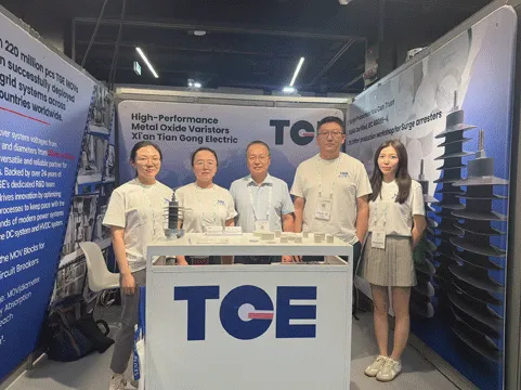 TGE Attends CIGRE Paris 2026 and Delivers Technical Presentation on HVDC-Related MOV Manufacturing